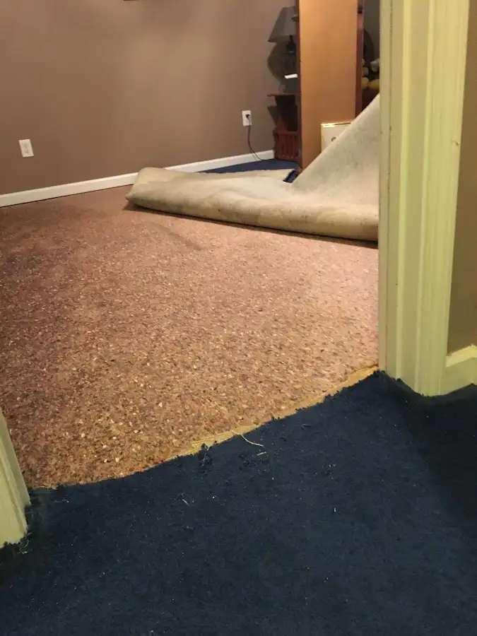 Carpet pad removal revealing water damage during Drying & Dehumidification in North Laurel
